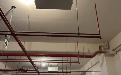 新屋｜廠房新建工程