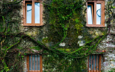 桃園老舊社區消防升級計畫